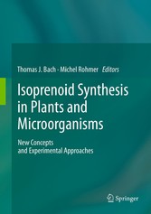 Isoprenoid Synthesis in Plants and Microorganisms