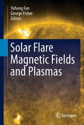 Solar Flare Magnetic Fields and Plasmas