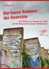 Der kurze Sommer der Anarchie: Der Einfluss der Wende von 1989 auf die Biographien junger Ostdeutscher