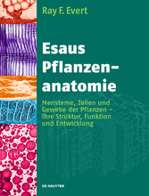 Esaus Pflanzenanatomie