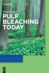 Pulp Bleaching Today