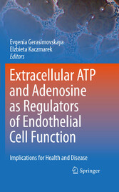 Extracellular ATP and adenosine as regulators of endothelial cell function