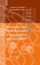 Adsorption and Phase Behaviour in Nanochannels and Nanotubes