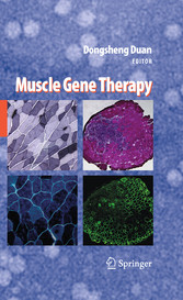 Muscle Gene Therapy