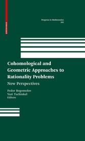 Cohomological and Geometric Approaches to Rationality Problems