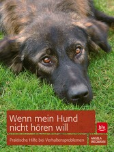 Wenn mein Hund nicht hören will