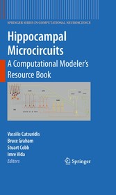 Hippocampal Microcircuits