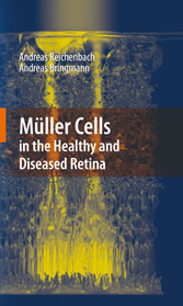 Müller Cells in the Healthy and Diseased Retina