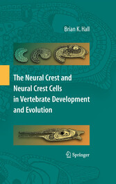 The Neural Crest and Neural Crest Cells in Vertebrate Development and Evolution