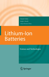 Lithium-Ion Batteries