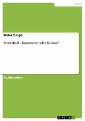 Streetball - Kommerz oder Kultur?