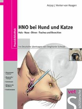 HNO bei Hund und Katze