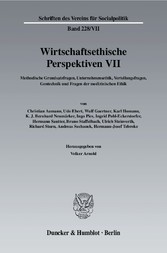 Wirtschaftsethische Perspektiven VII.