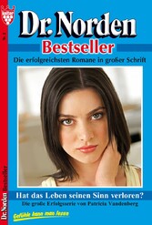 Dr. Norden Bestseller 2 - Arztroman