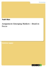 Assignment: Emerging Markets - Brazil in Focus