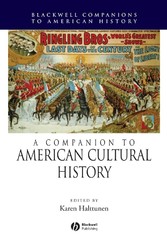 A Companion to American Cultural History