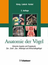 Anatomie der Vögel