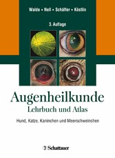 Augenheilkunde