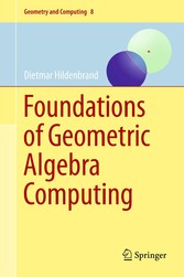 Foundations of Geometric Algebra Computing