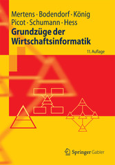 Grundzüge der Wirtschaftsinformatik