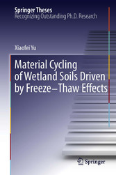 Material Cycling of Wetland Soils Driven by Freeze-Thaw Effects