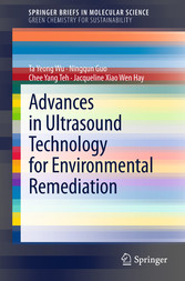 Advances in Ultrasound Technology for Environmental Remediation