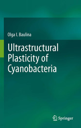 Ultrastructural Plasticity of Cyanobacteria