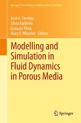 Modelling and Simulation in Fluid Dynamics in Porous Media