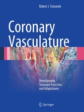 Coronary Vasculature