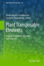 Plant Transposable Elements