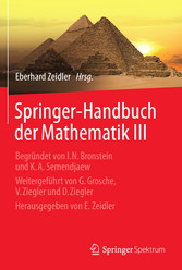 Springer-Handbuch der Mathematik III