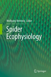 Spider Ecophysiology