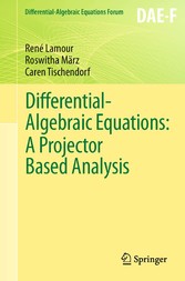 Differential-Algebraic Equations: A Projector Based Analysis