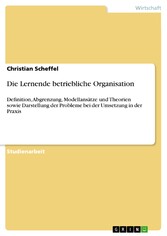 Die Lernende betriebliche Organisation