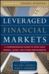 Leveraged Financial Markets