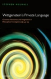 Wittgenstein's Private Language Grammar, Nonsense, and Imagination in  Philosophical Investigations, AA 243-315