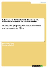 Intellectual property protection: Problems and prospects for China