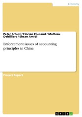 Enforcement issues of accounting principles in China