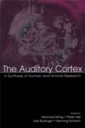 Auditory Cortex