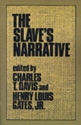 Slave's Narrative