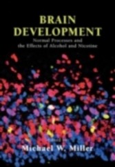 Brain Development Normal Processes and the Effects of Alcohol and Nicotine