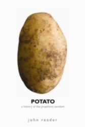 Potato