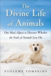 Divine Life of Animals