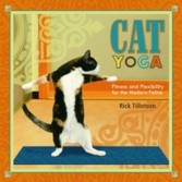 Cat Yoga