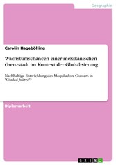 Wachstumschancen einer mexikanischen Grenzstadt im Kontext der Globalisierung