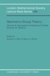 Geometric Group Theory: Volume 2