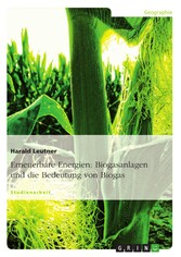 Erneuerbare Energien: Biogasanlagen und die Bedeutung von Biogas