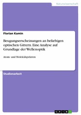 Beugungserscheinungen an beliebigen optischen Gittern. Eine Analyse auf Grundlage der Wellenoptik