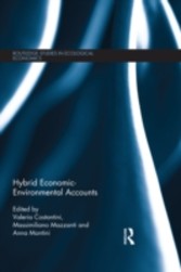 Hybrid Economic-Environmental Accounts