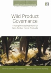 Wild Product Governance